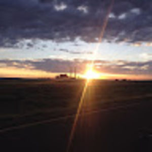 Meet your Posher, Steven